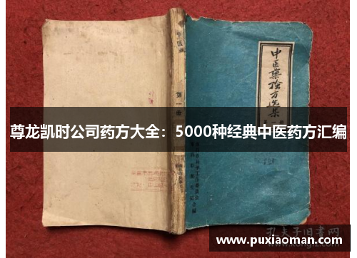 尊龙凯时公司药方大全：5000种经典中医药方汇编