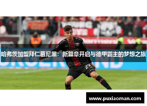 哈弗茨加盟拜仁慕尼黑：新篇章开启与德甲霸主的梦想之旅